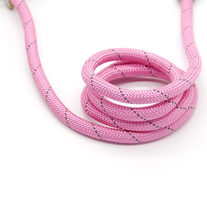 Coolrunner 5 FT Highly Reflective Nylon Dog Leash Standard Training Adjustable Pet Slip Lead for Small and Medium Dogs(10-80 lb) - Image 5